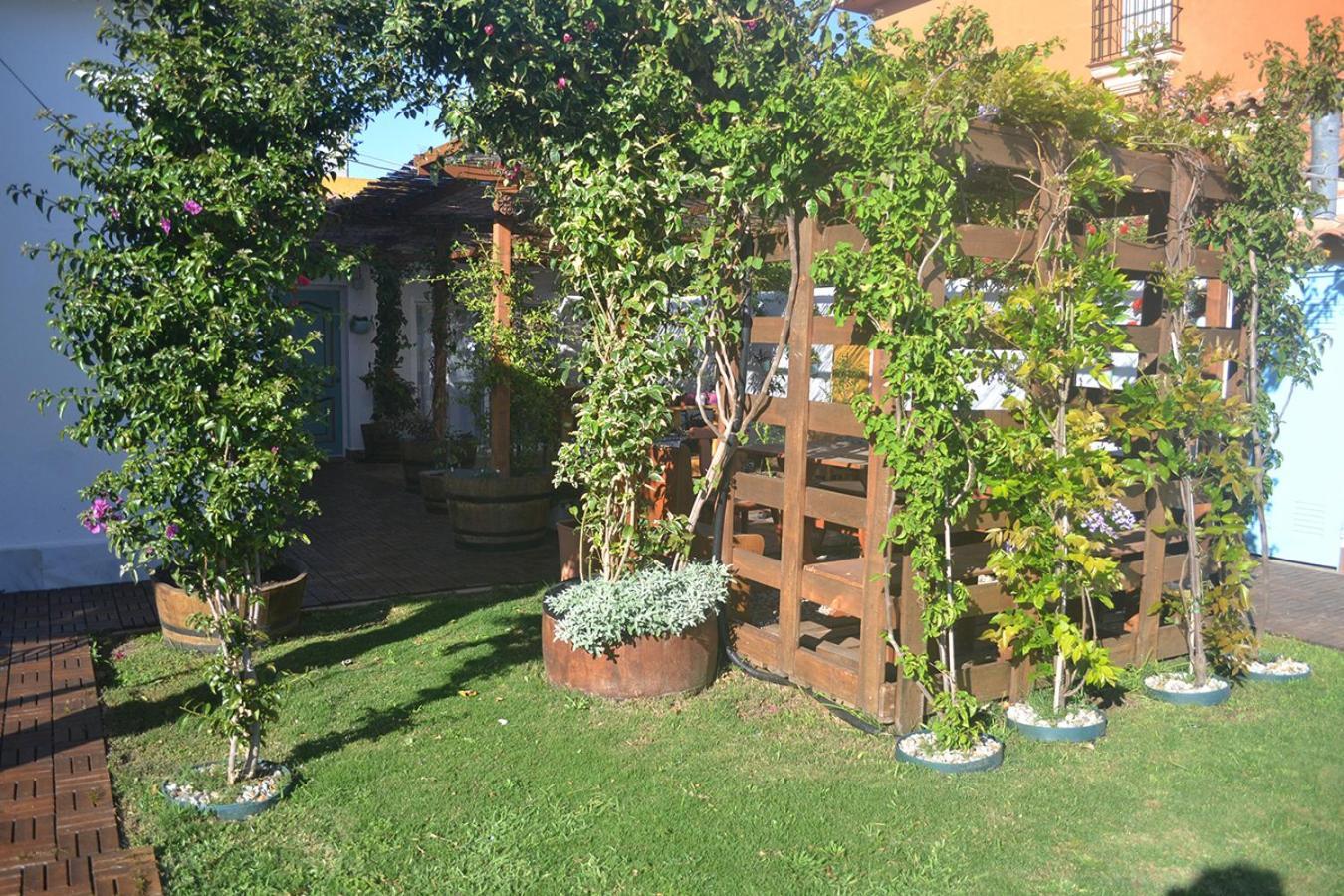 Chalets En Sancti Petri Novo Sancti Petri Exteriör bild